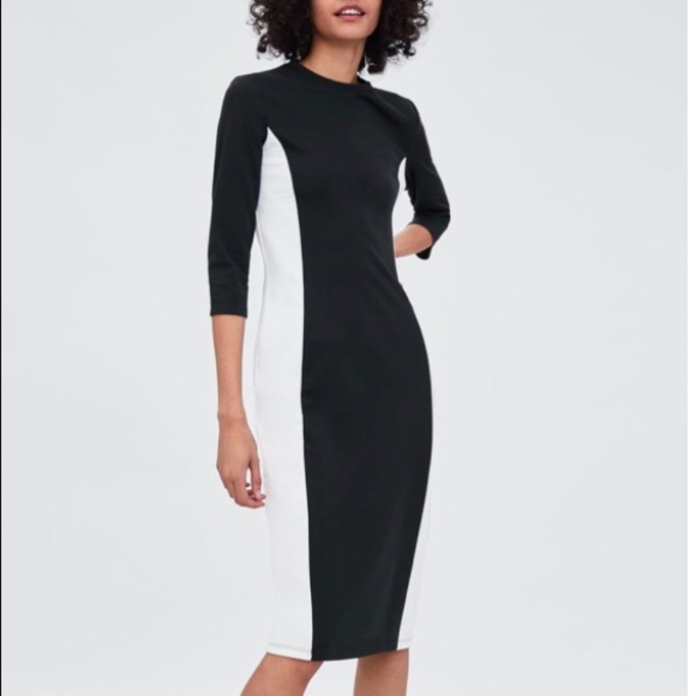 NWT Zara Dress